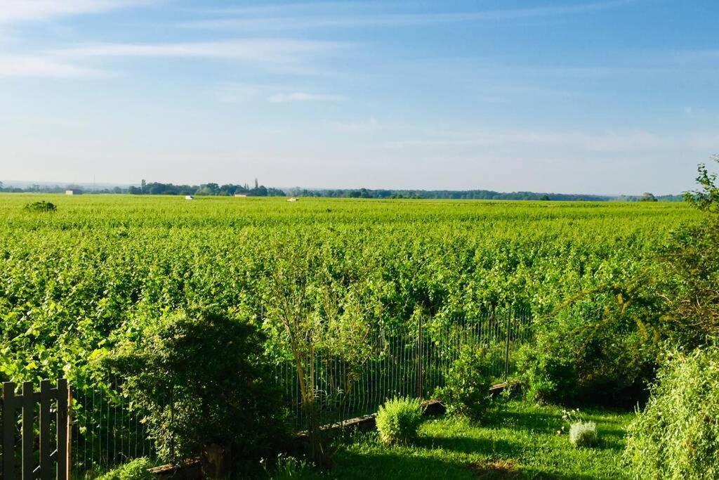 Appartement Avec Vue Sur Les Vignes A Gevrey Εξωτερικό φωτογραφία